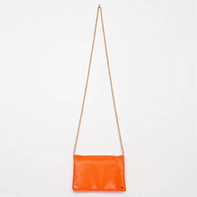 Wasteland Gold Chain Clutch