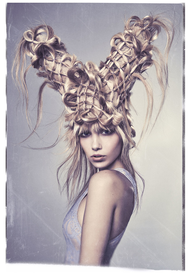 Enchantment Collection