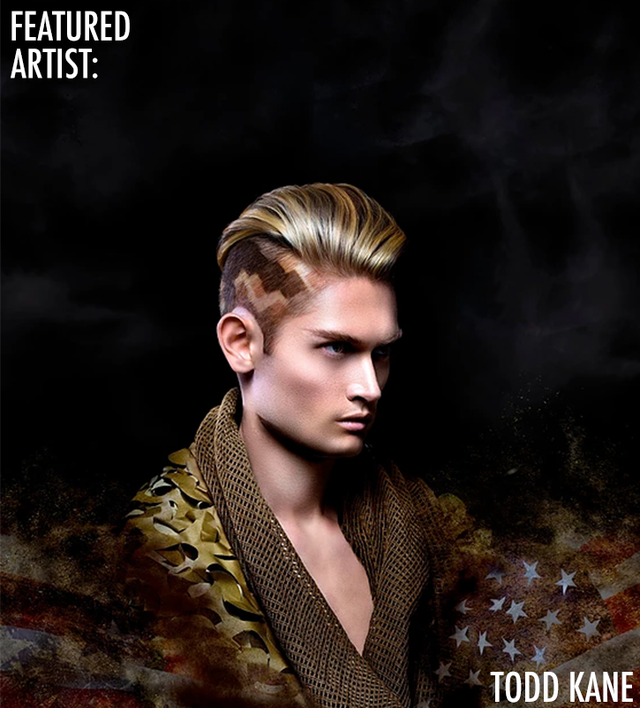 Re sized 8528caba4f5401fd4f16 featured artist todd kane