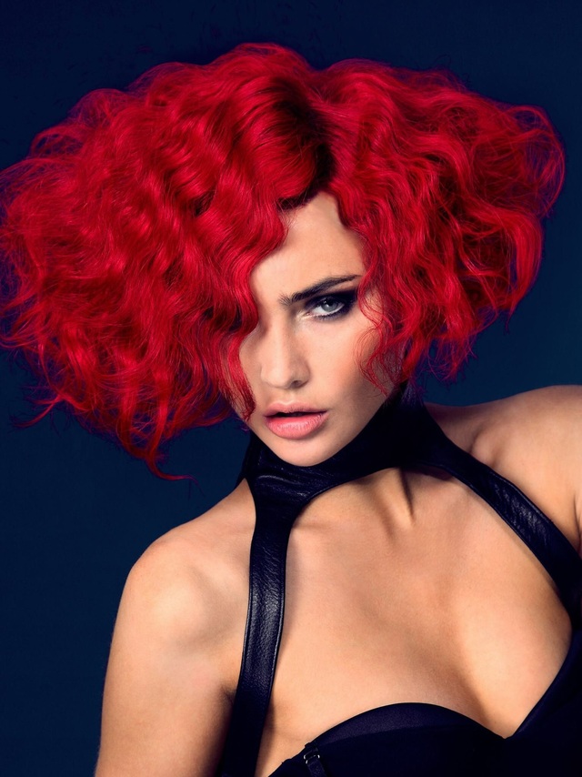 Life in Colour Collection 