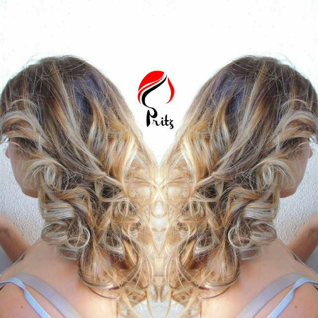 Pritz