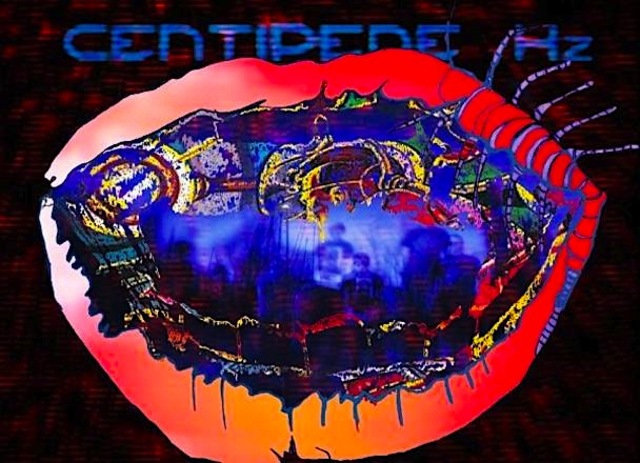 Animal Collective Centipede