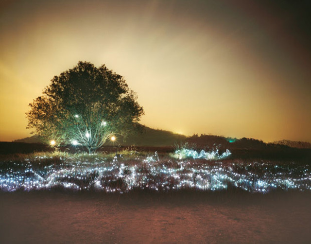 Starry_Night_Lee_Ejpg