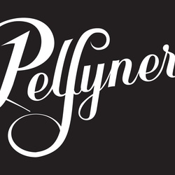 Re sized 86e4ca376f3ad392ba11 pelsynera logo