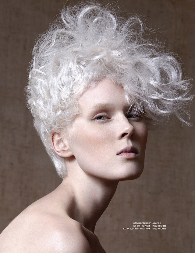 2016 NAHA Editorial Stylist Of The Year Finalist