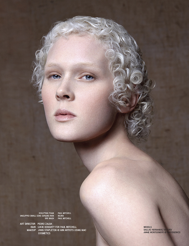 2016 NAHA Editorial Stylist Of The Year Finalist