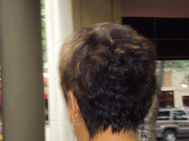 cut by Irma