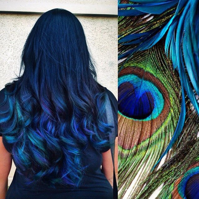Peacock !