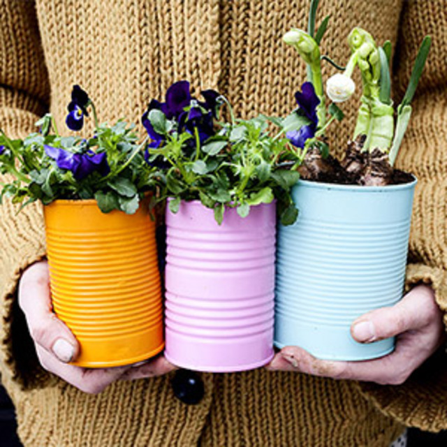Colorful-Canned-Planters