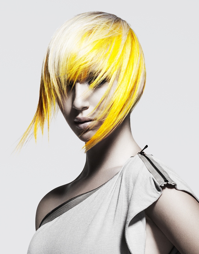 2012 North American Hairstylist Awards Entry/Win for Haircolorist of the Year 1