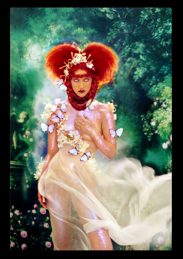 AVANT GARDE COLLECTION 