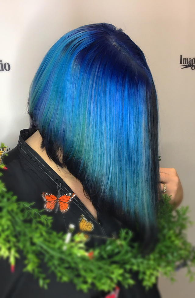 Blue Morpho
