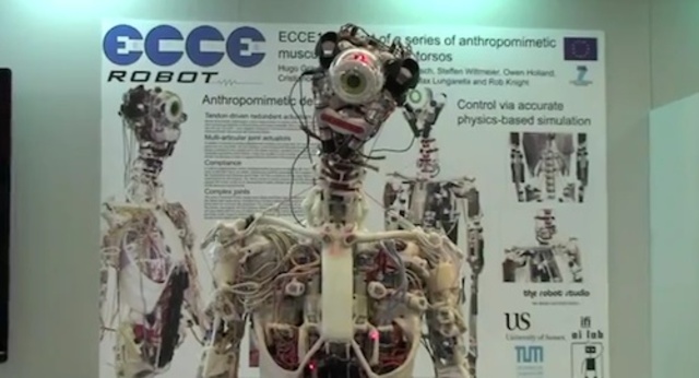 robot1