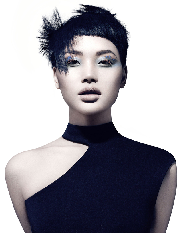 2017 NAHA Master Stylist of the Year Finalist 