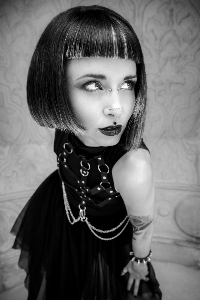 Gothic Punk Collection