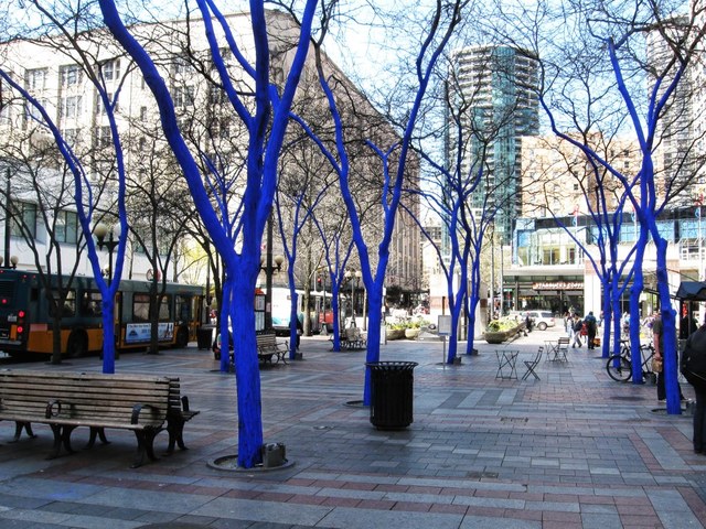 seattle+art+project_blue+trees