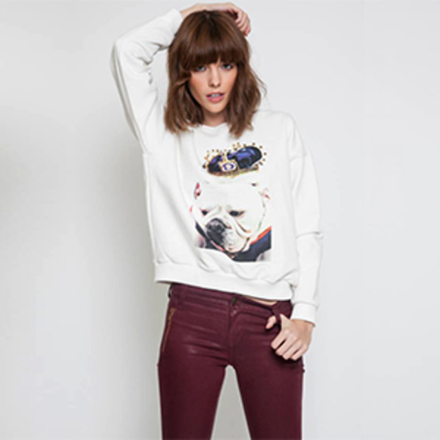 Joa + Closet Royal Dog Sweater