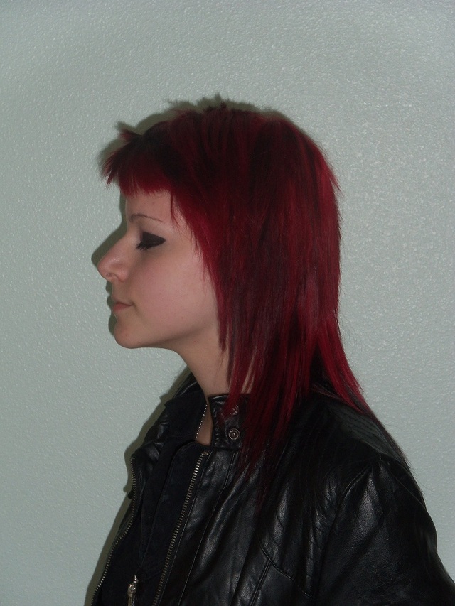 Chelsea Hawk with Cheetah print done with Fantasy Color