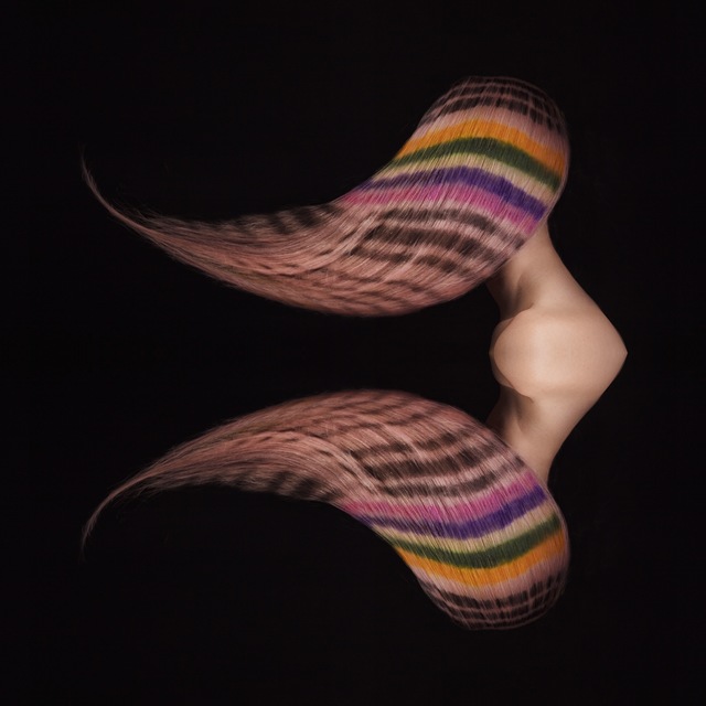 Swallow
