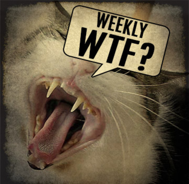 Cat-Attack-Lawsuit