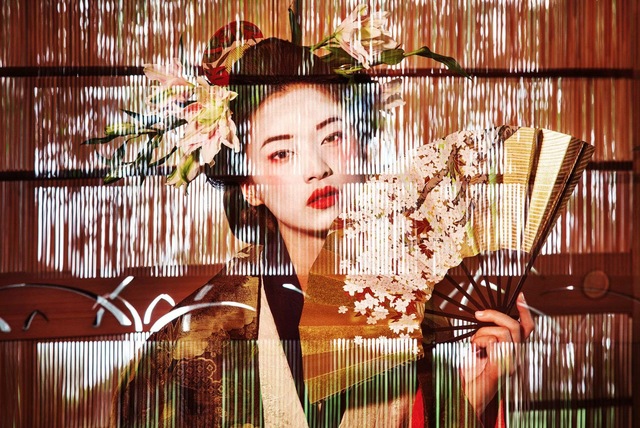 Story of a geisha