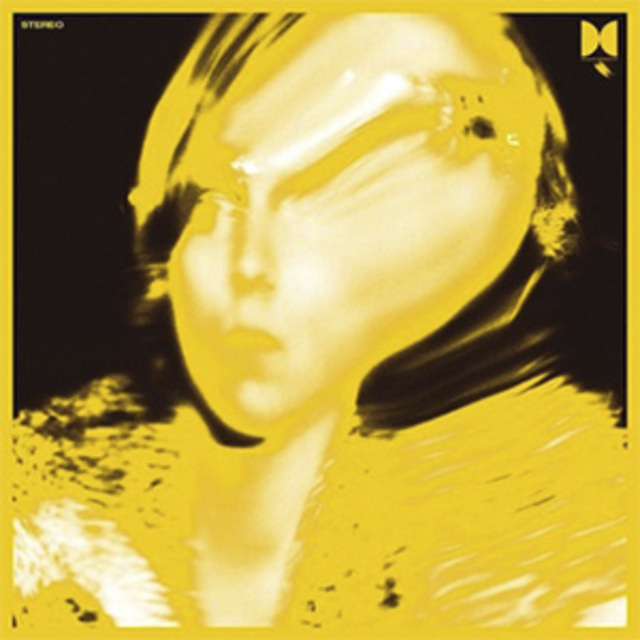 Ty Segall Twins