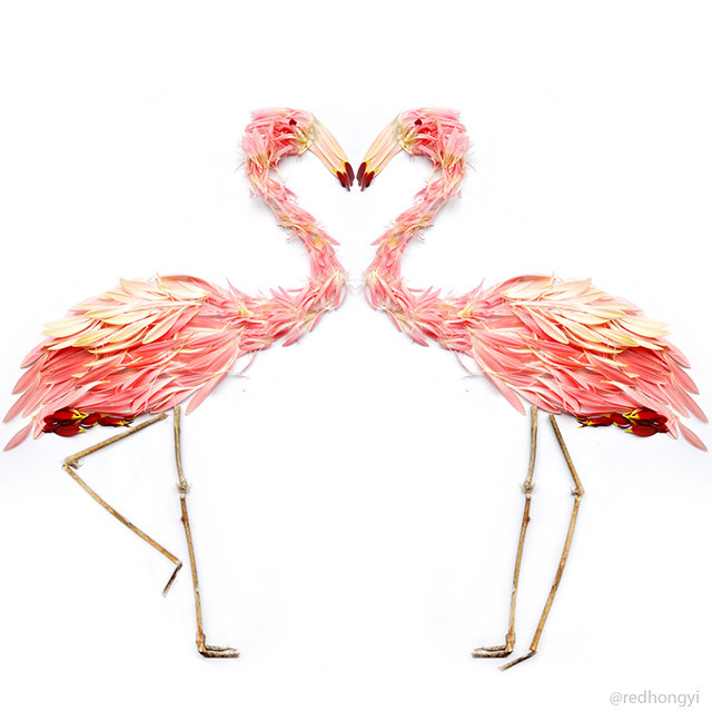 birds-7