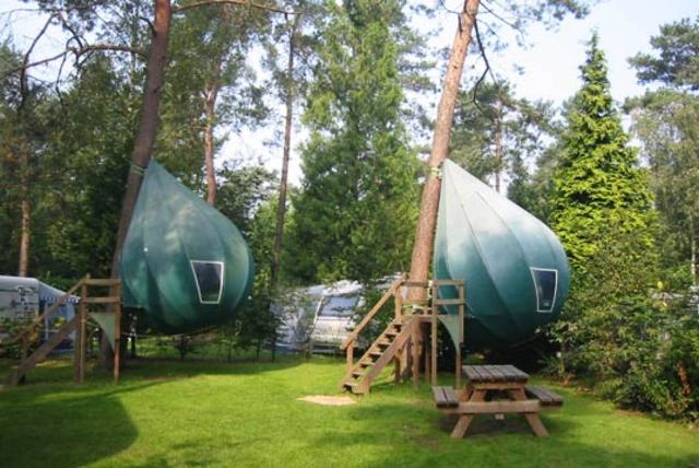tree-tents
