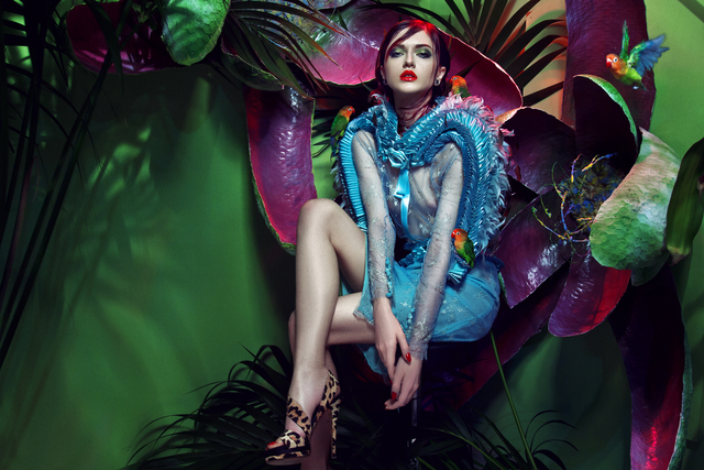 Wonderland Collection