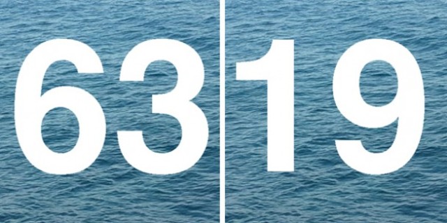 6319