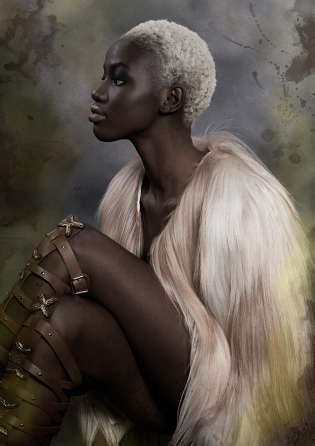 AHFA finalist entry 2014