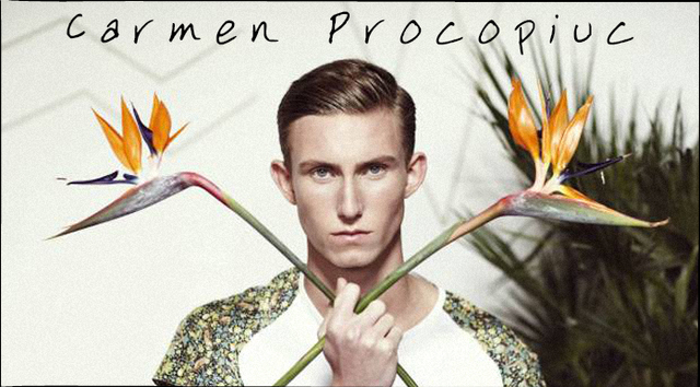 CarmenProcopiucBangstyle