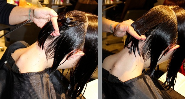 Sherri Intercoiffure 3