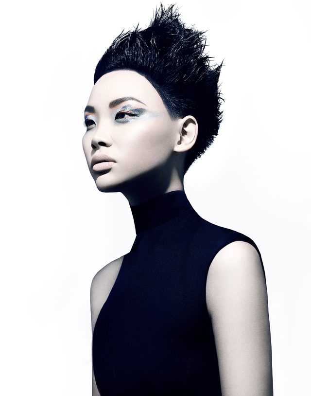 2017 NAHA Master Stylist of the Year Finalist 