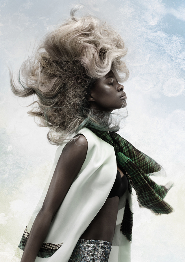 2015 Coiffure Nominee Avant Garde