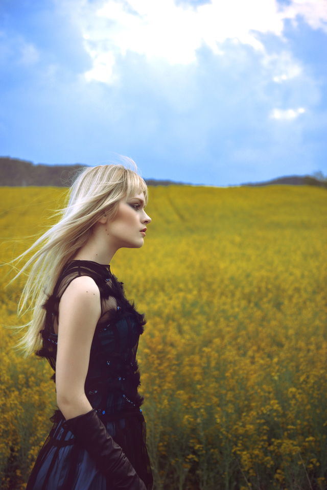 Summer feeling in a rape field