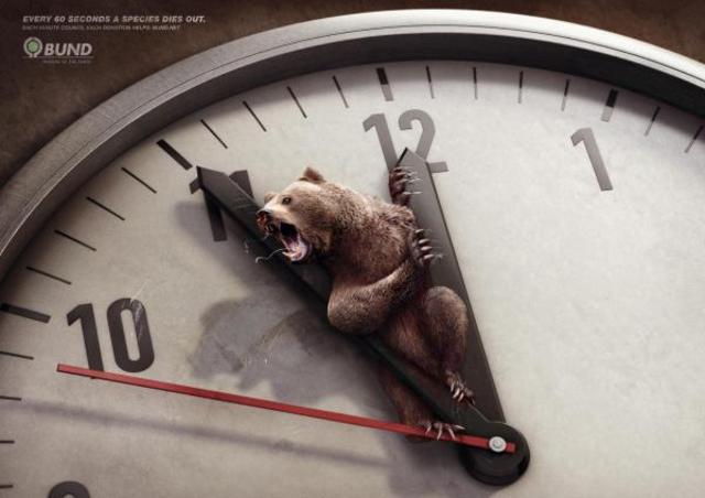 environnement-ours-cannes-lions-2011-gold