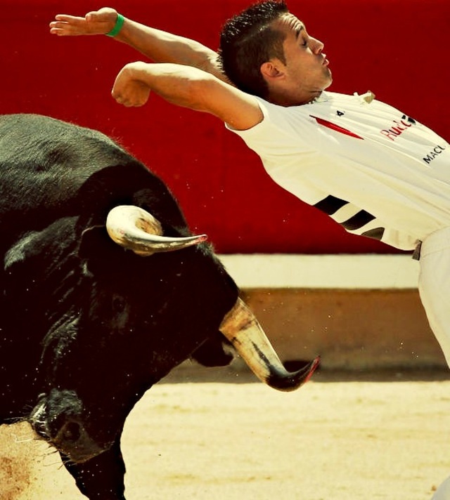 runningwithbulls