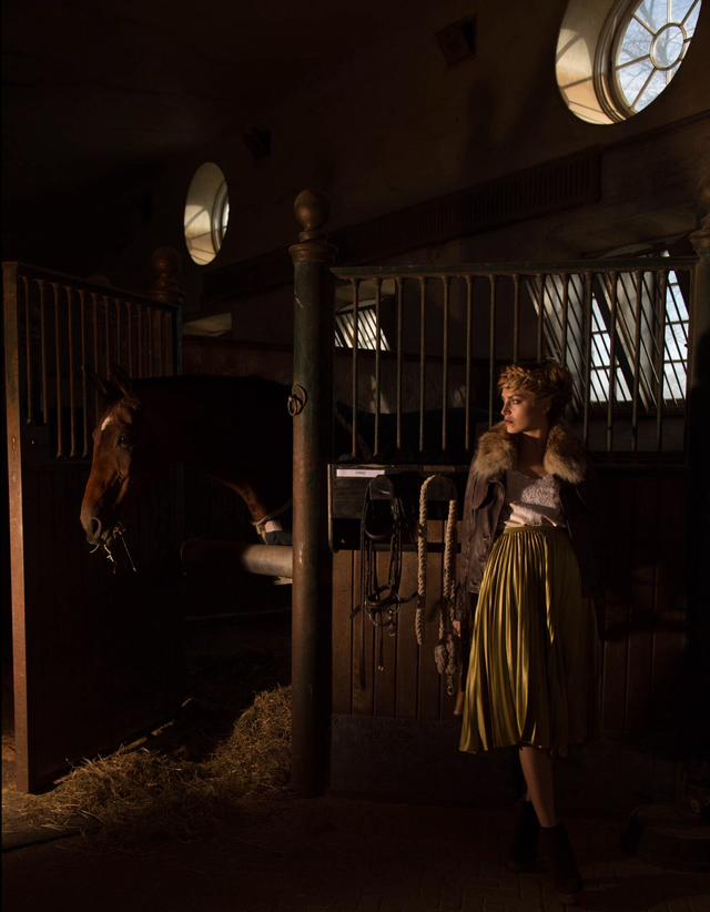 Horses and hair