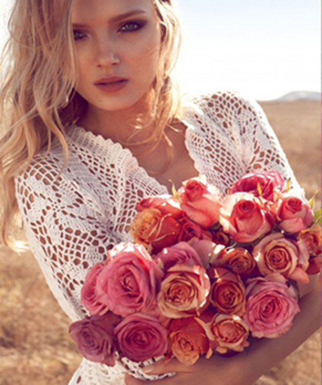 Spring Beauty Roundup COurntye