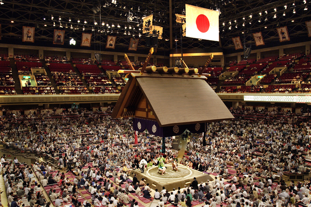 Sumo