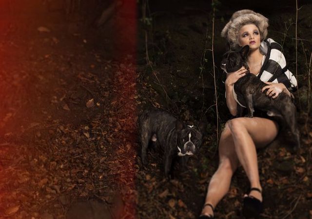 Aged Structure 3 with dogs.