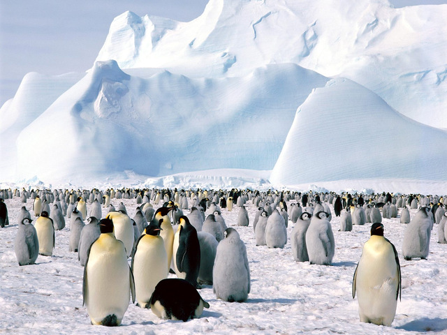 Antarctica2