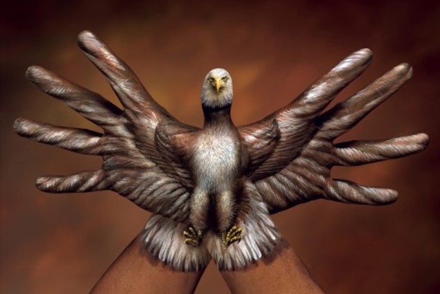 Bald-Eagle-2-hands1-510x340