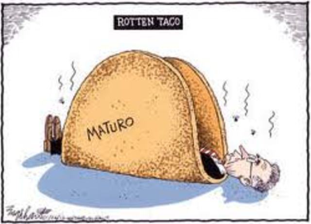 Bangstyle Taco Mayor