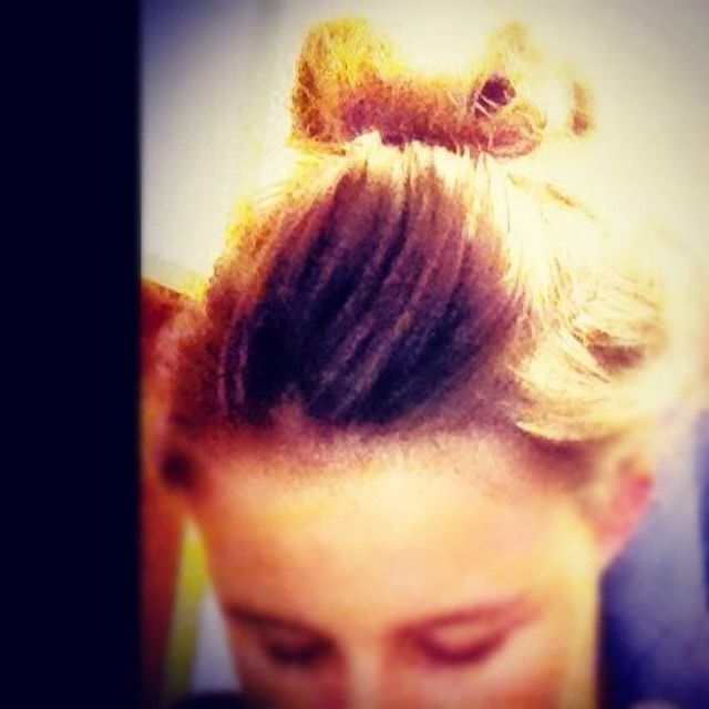 Bow