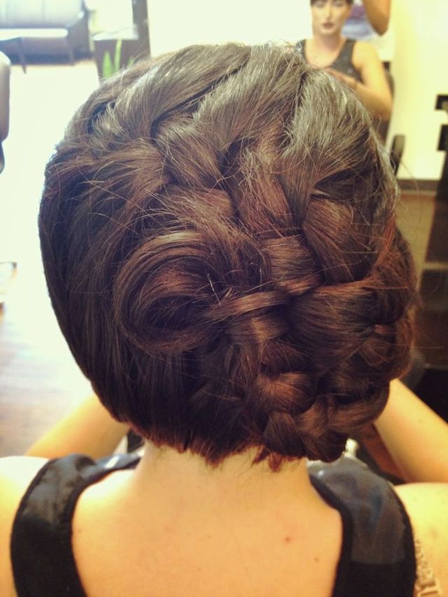 Braid Up-Do