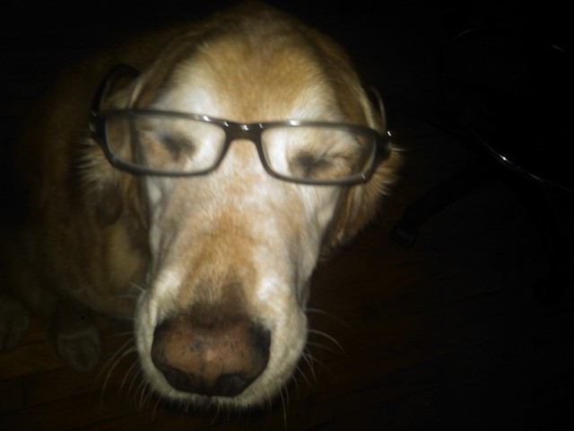 Casey Bangstyle