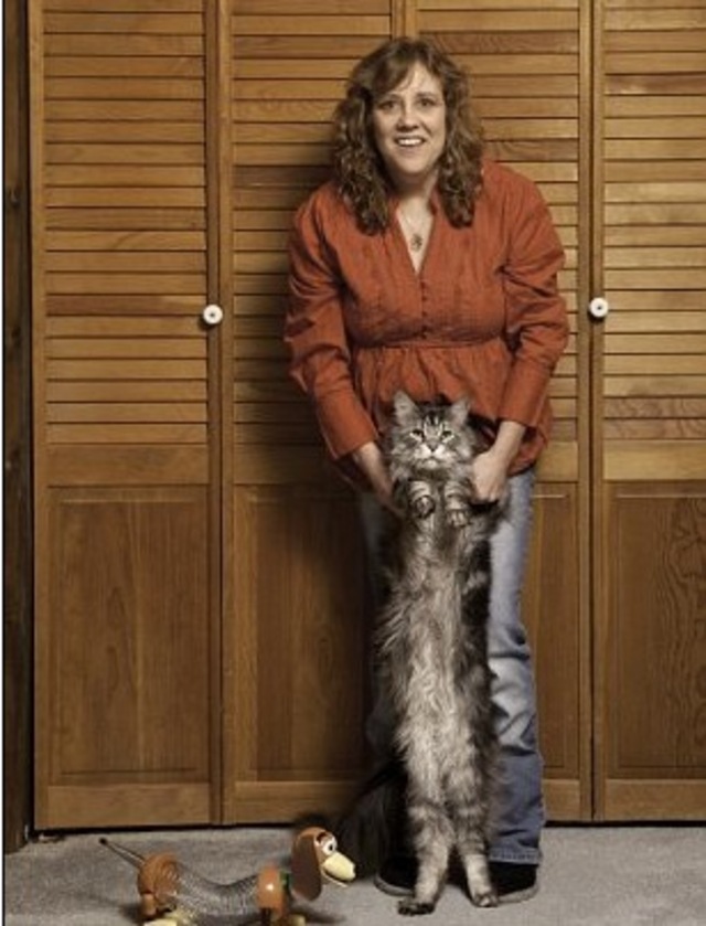 Cat Bangstyle