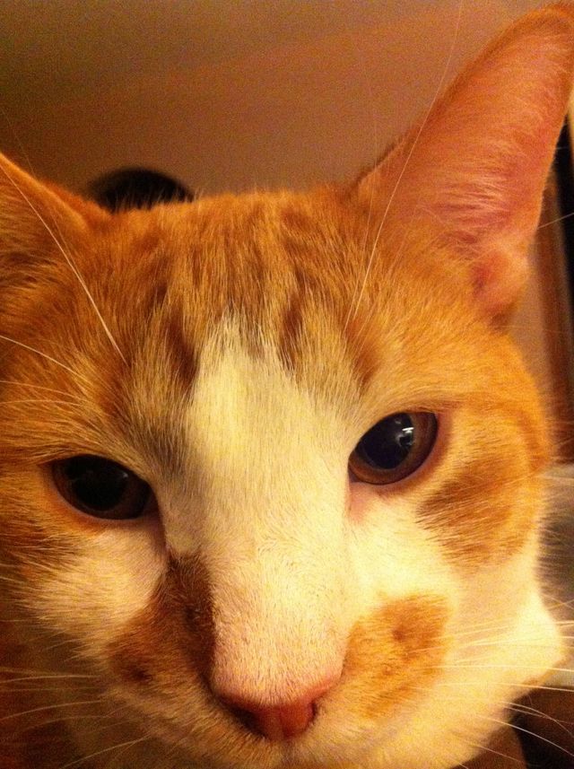 Charlie